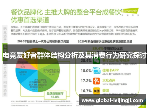 电竞爱好者群体结构分析及其消费行为研究探讨