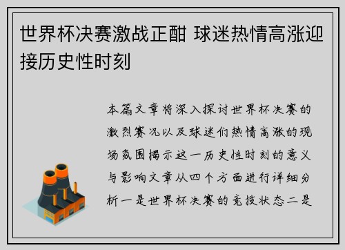 世界杯决赛激战正酣 球迷热情高涨迎接历史性时刻
