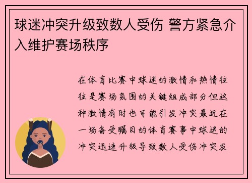 球迷冲突升级致数人受伤 警方紧急介入维护赛场秩序