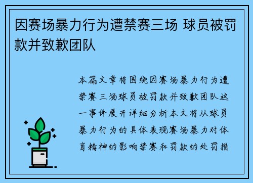 因赛场暴力行为遭禁赛三场 球员被罚款并致歉团队